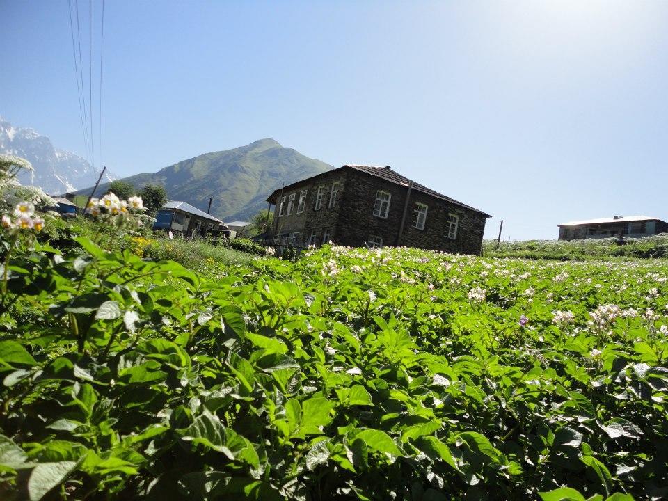 Caucasus Guesthouse Ušguli Exteriér fotografie